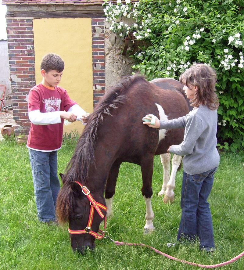 Cheyenne