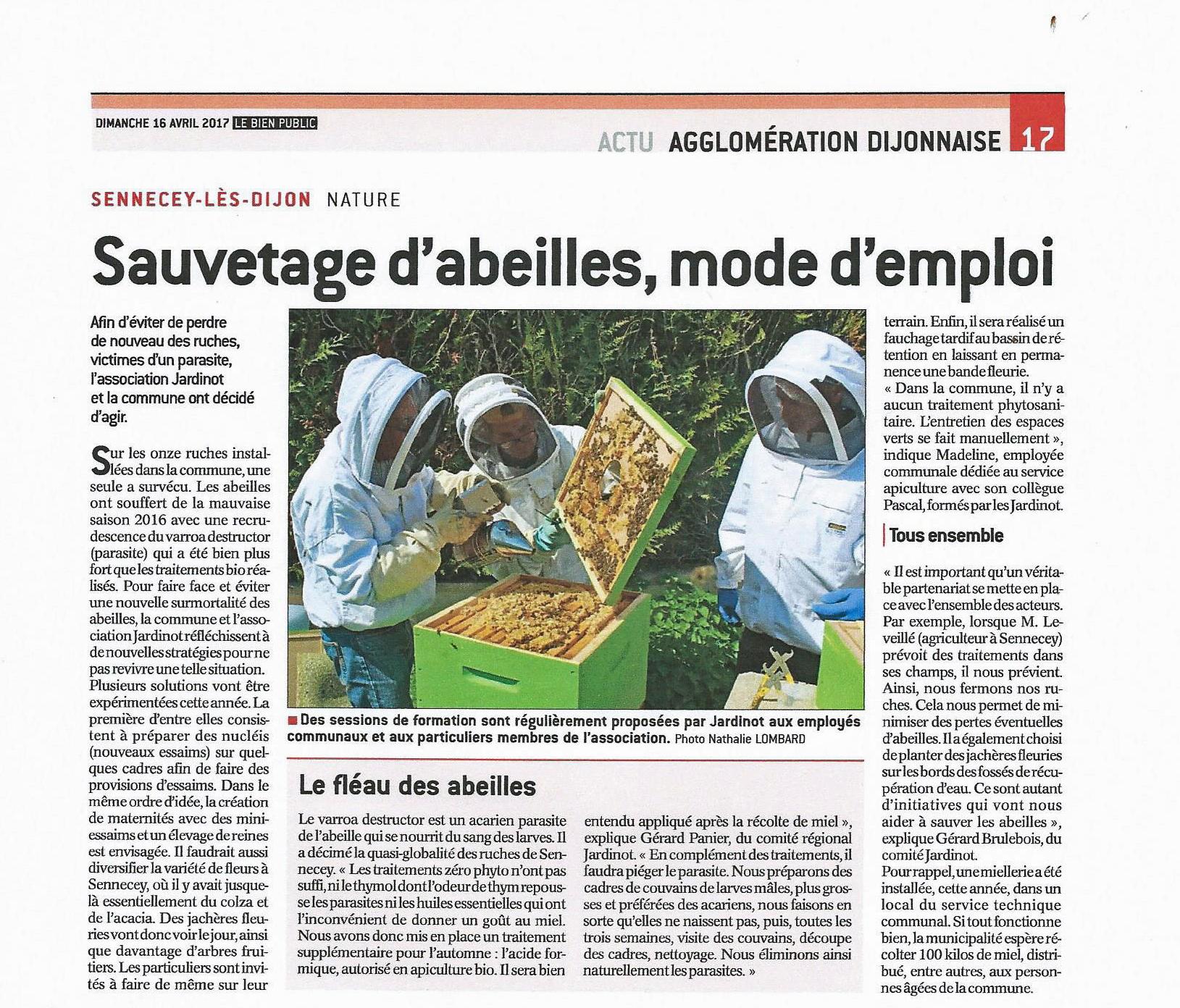Les ruches