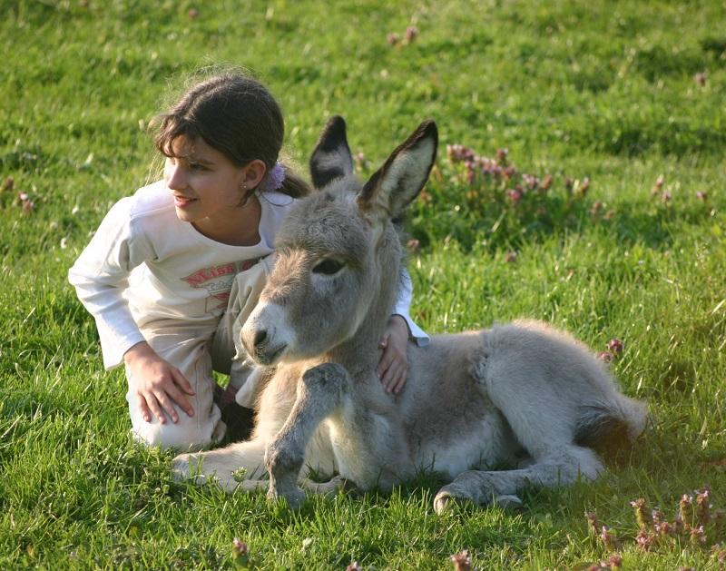 Pepita et lola